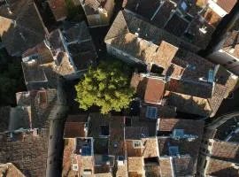 Appartement centre historique Aix en Provence, Place RAMUS