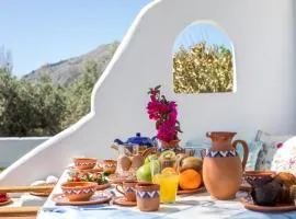 Greek Traditional Summer at Villa Julia