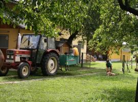 Bauernhof-Pension Puschnikhof, farm stay in Unternarrach
