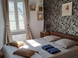 Atypique Saumur 80 m2 joli appartement 2 à 7 pers familial rénové entier 3 chambres hyper centre