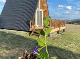 Vikendica "Koliba kraj puta", hotel in Divčibare