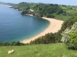Seaview Nest