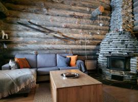 Tokkapirtti B2 Log cabin near Levi center in a peaceful neighbourhood, hotel in Levi