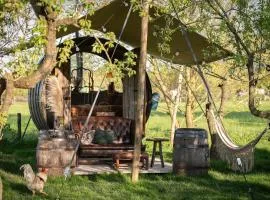 Tiny Wineyhouse 3