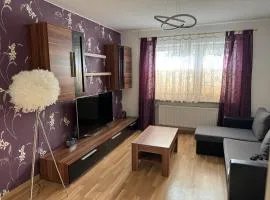 5 Zimmer Haus mit Whirlpool, Grillhütte und privatem Garten, Perfekt für Gruppen oder Familien