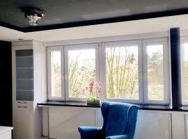 Black & White Komfortowe Apartamenty 2 km od Centrum, hotel in Racibórz