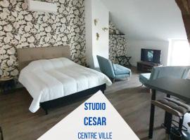 Centre de Provins : superbe appartement neuf, hotel em Provins