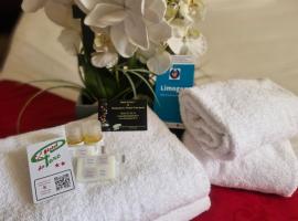 Hôtel du Parc Limoges & Restaurant "Le temps d'une pause", hôtel à Limoges