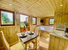 Cosy Hut Getaway, Hot Tub, Fire Pit, Views, BBQ, hotel in Leominster