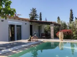 RELAXING POOL HOUSE IN LAGONISI 2