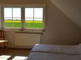Ferienhäuser Freiblick