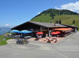 Berghotel Wiriehorn, hotel v destinaci Diemtigen