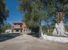 Village House In An Olive Grove!