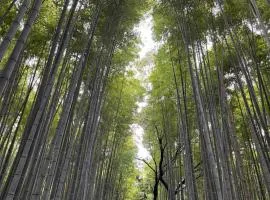 嵐山 天龍の宿 駐車無料 一棟貸切 最大5人 Dragon Legend Arashiyama Central Private Rare Modern House Free Parking Max 5ppl