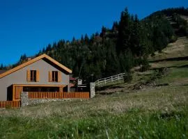 Cabana Poarta Retezat