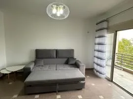 Cozy and Comfortable Apartment 2