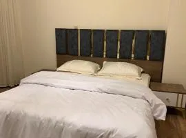 الشيخ زايد