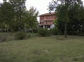 Hotel San Vitale, hotel Medicinában