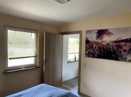 House sunlight，Vranino的小屋