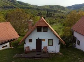 House Yvonne Camping Ananas Cisnadioara