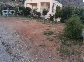 Niki's house