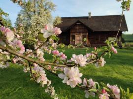 Miejsce po Dworze, hotel-fazenda rural em Polana