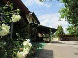Guljaš Čarda Old