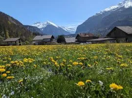 Family-friendly chalet apt with balcony