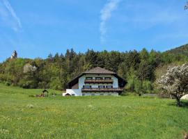 Pirchnerhof, farm stay in Longomoso