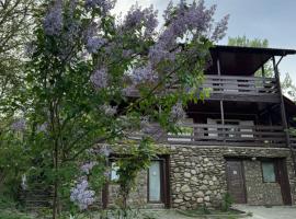 Sofia Lake House, hotel with parking in Lunca Mare