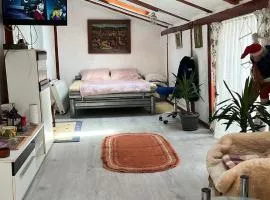 Apartamentul Flore