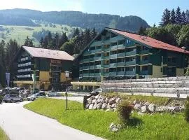 Alpine Apartment Schladming