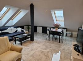 Apartament KNIEJA LUX、トゥホラのホテル