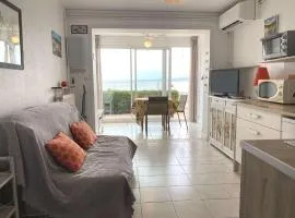 Charmant T1 avec climatisation, WIFI, parking à Balaruc-les-Bains - FR-1-553-218