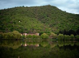 Lopota Lake Resort & Spa, family hotel in Napareuli