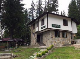 Family Hotel Ginger, hotel in Pamporovo