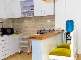 Sereny Homes II, вариант проживания в семье в городе Наньюки