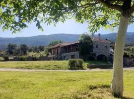Venus cottage