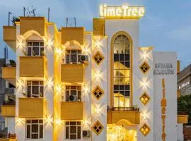 Lime Tree Hotel Huda City Centre