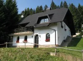 APARTMA ARNIKA Rogla, Turistično naselje NUNE RESNIK, RESNIK 110