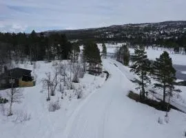 Cozy cabin in the center of Geilo