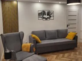 Apartament M&K z widokiem na Stare Miasto