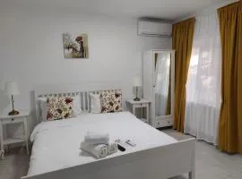 Vila de pe Lac Amara