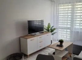 BANACHA 9