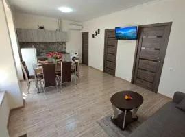 Hasmik house