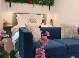 Premium Hils Brauner Studio