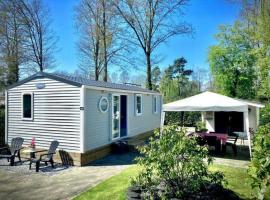 Camping de Pallegarste Villa 141, chalet de montaña en Mariënberg