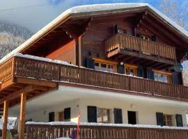 Chalet Castellani Duplex