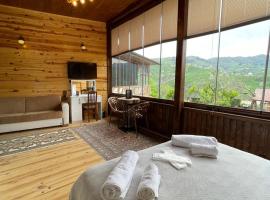 AHO 103 dağ manzaralı oda, hotel v destinaci Trabzon
