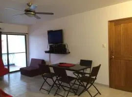 Apt 311 Mar de leva